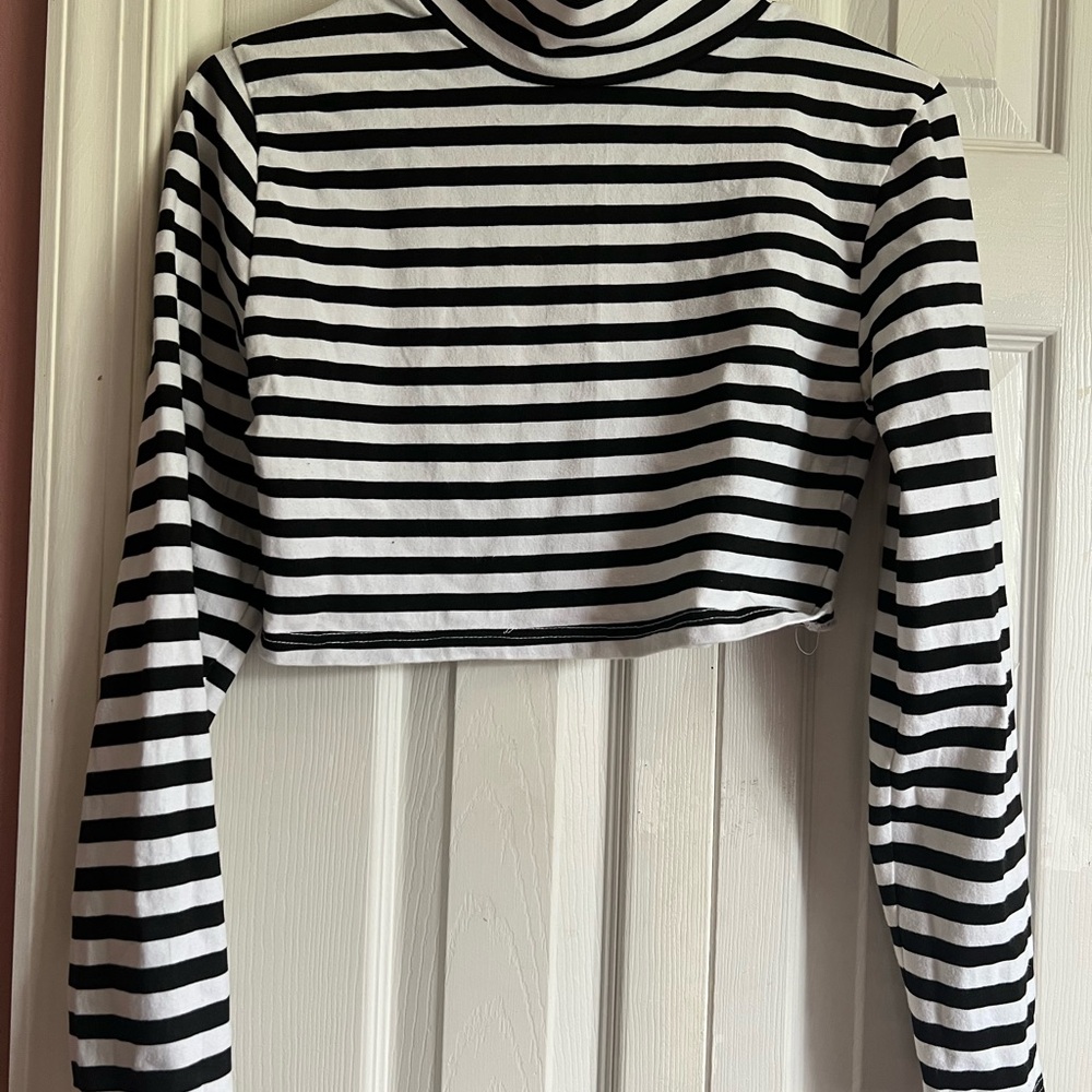 Striped Black & White Cropped Turtleneck Long Sleeve Top
